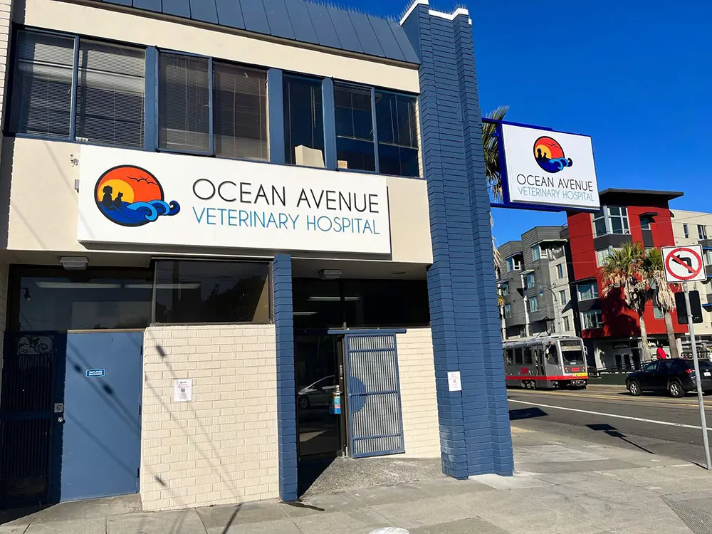 Hospital exterior front view