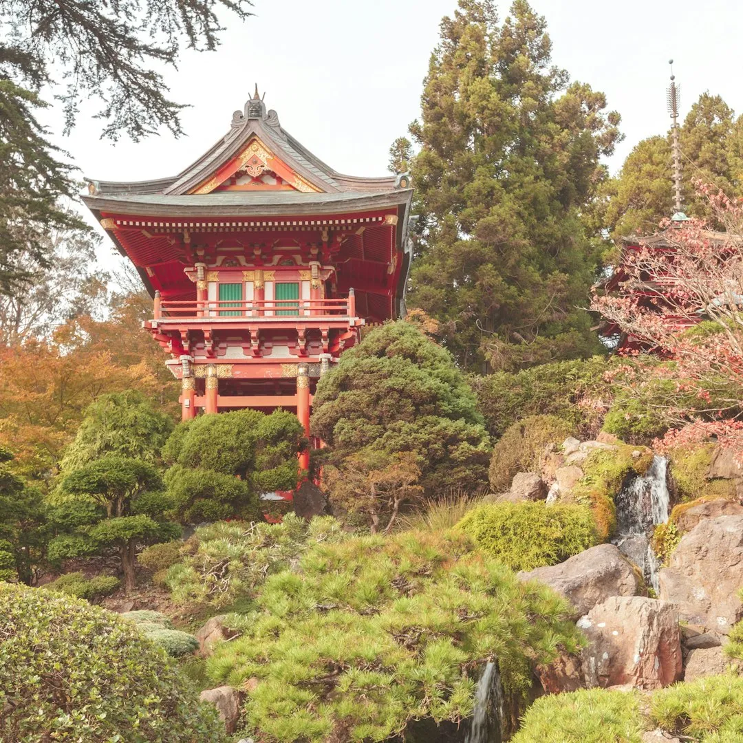 Golden Gate Park