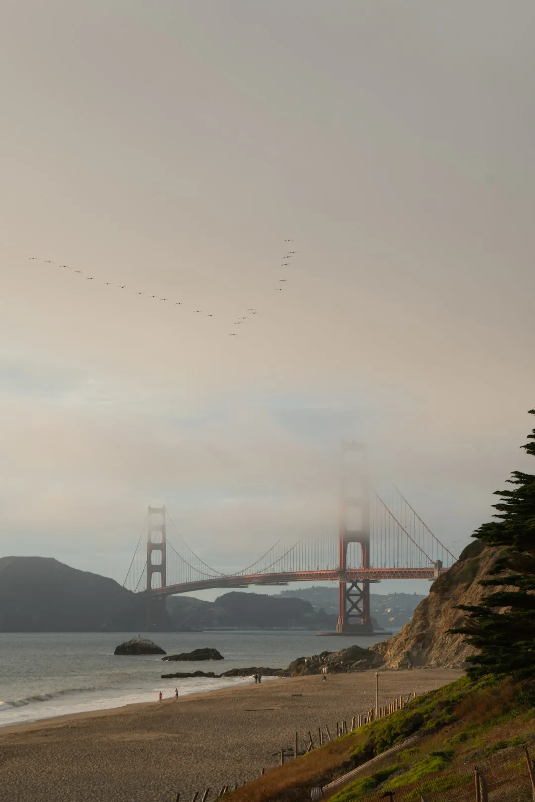 The Fog Belt